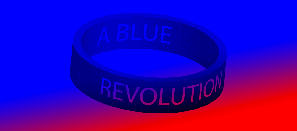 A Blue Revolution Banner